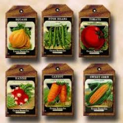 Seed Tags