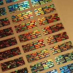 Holographic Labels