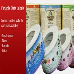 Mindware Variable Data Labels