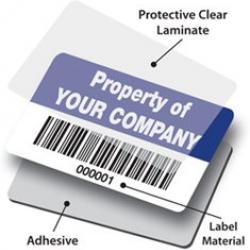 Assets Tags