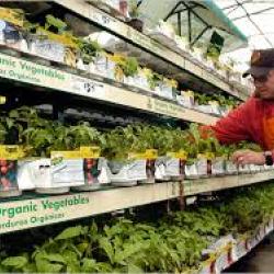 Environmental Labels